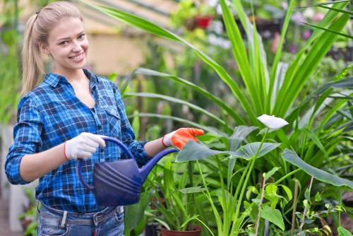 Front yard garden with a gardener assessing plants